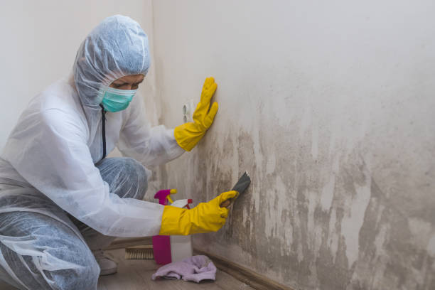 Water Damage Restoration in Mendenhall, MS