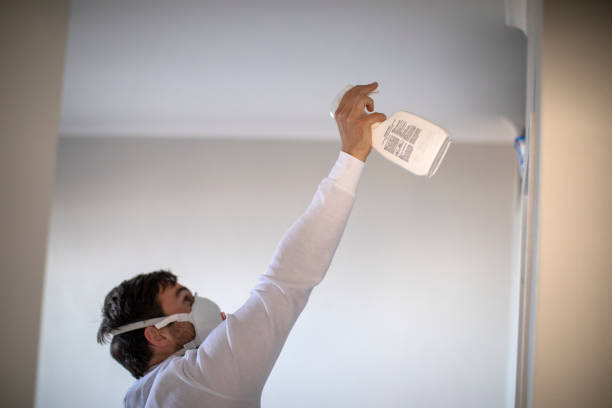 Best Affordable Mold Removal  in Mendenhall, MS