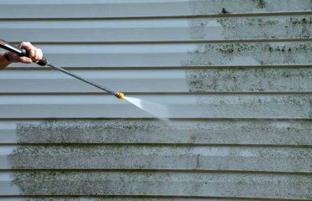 Office Mold Removal Services in Mendenhall, MS