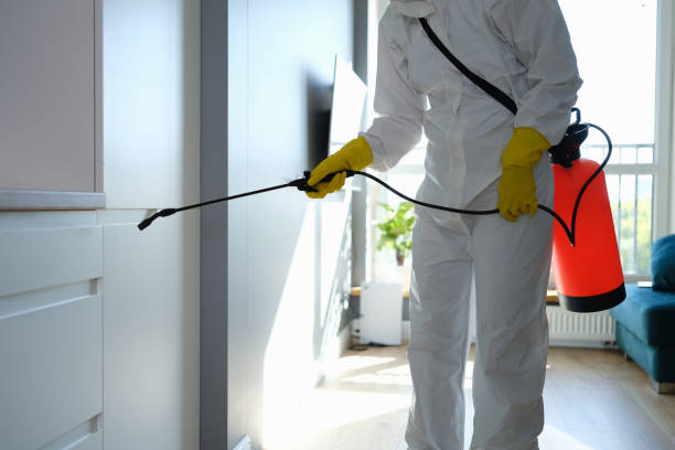Best Office Mold Removal Services  in Mendenhall, MS